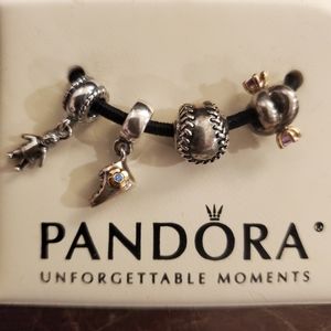 Pandora Charms- 4 total charms